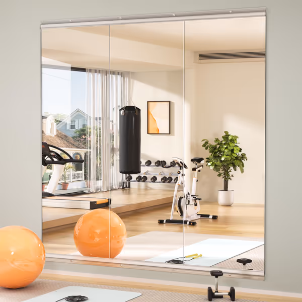 Hasipu Home Gym Mirror 55" x 17"